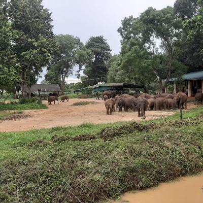 Whatsapp Image 2022 05 01 At 7.28.40 Pm 1