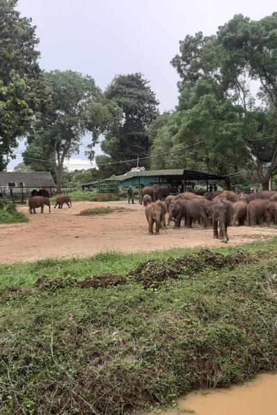 Whatsapp Image 2022 05 01 At 7.28.40 Pm